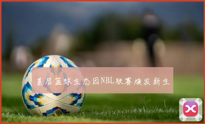 基层篮球生态因NBL联赛焕发新生