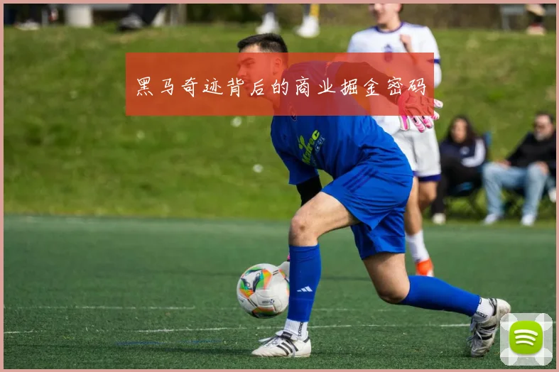 黑马奇迹背后的商业掘金密码