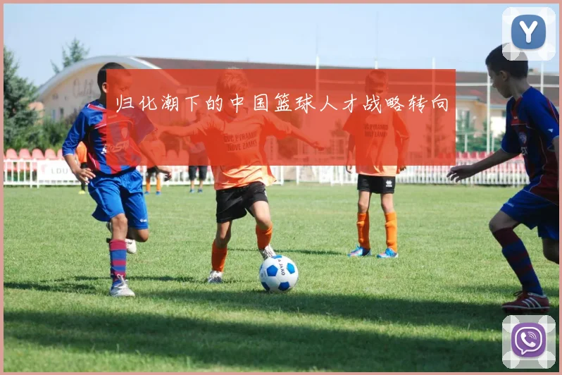 归化潮下的中国篮球人才战略转向