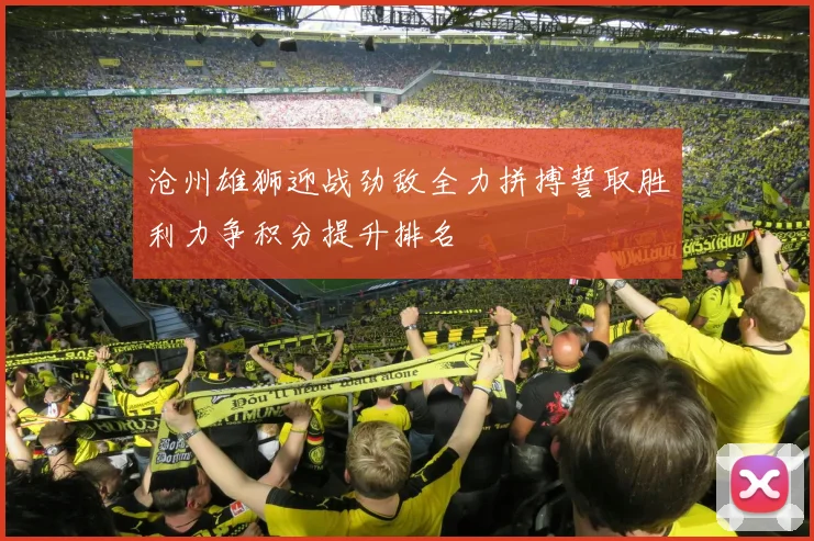 沧州雄狮迎战劲敌全力拼搏誓取胜利力争积分提升排名