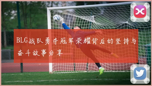 BLG战队勇夺冠军荣耀背后的坚持与奋斗故事分享