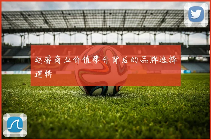 赵睿商业价值攀升背后的品牌选择逻辑